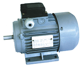 YS series Motors